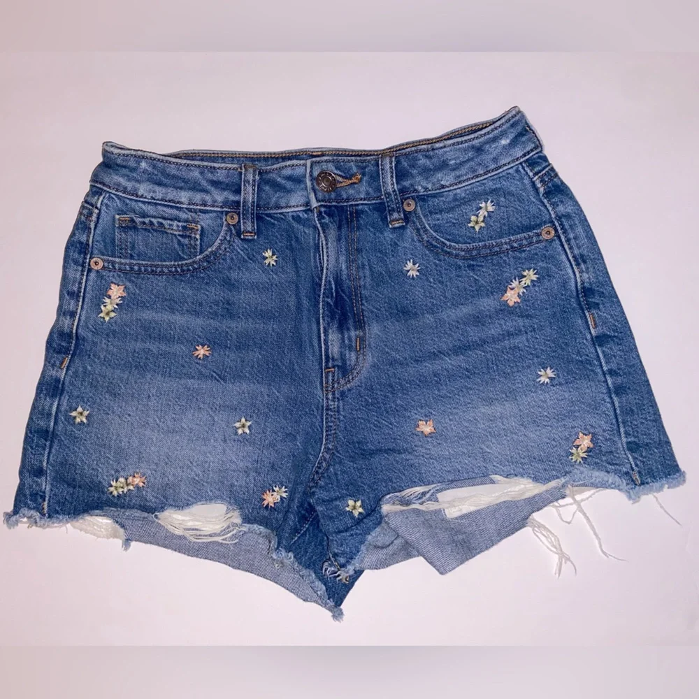 American Eagle Outfitters Blue Jean Shorts with Floral Embroidery - Picture 1 of 4